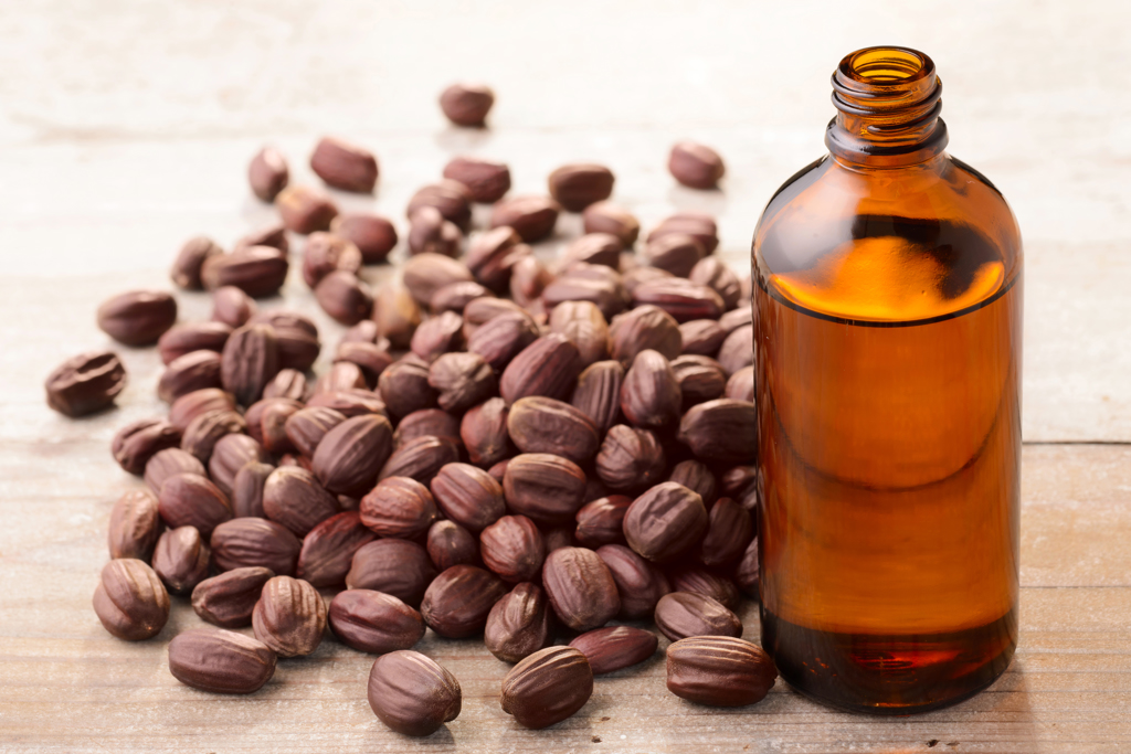 روغن جوجوبا: خواص، کاربردها و مزایای آن در محصولات آرایشی و بهداشتی